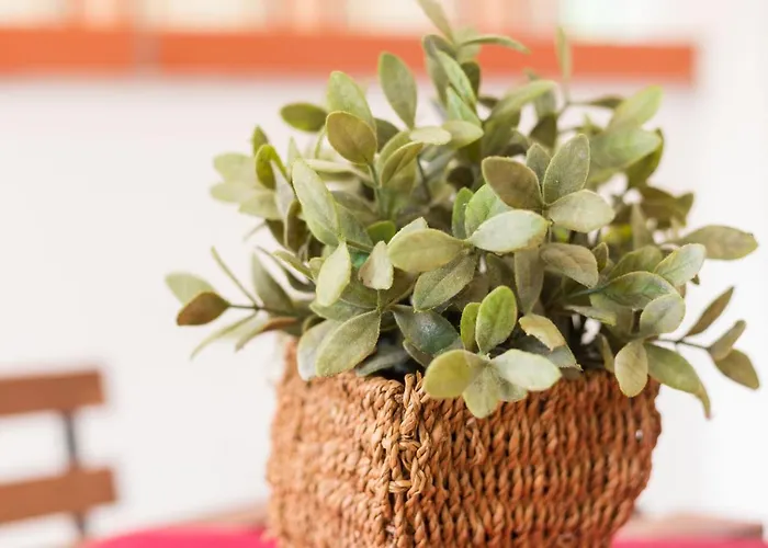 Monolocale Casa Lucia Lägenhet